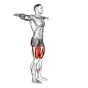 Squats demonstration GIF
