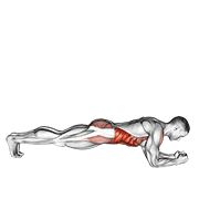 Plank demonstration GIF