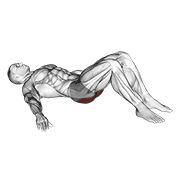 Glute bridge demonstration GIF