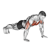 Push-ups demonstration GIF